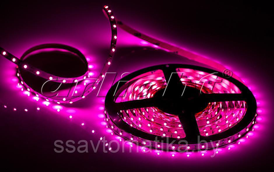 Светодиодные ленты RT 2-5000 12V PINK (3528, 300 LED, LUX) - фото 3 - id-p62197888