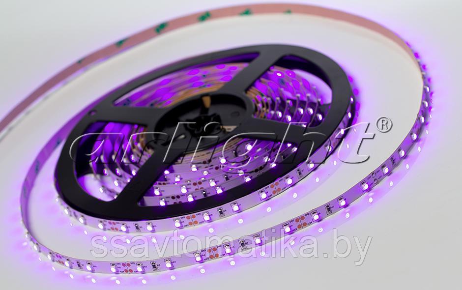 Светодиодные ленты RT 2-5000 12V UV400 (3528, 300 LED, W) - фото 2 - id-p62197893