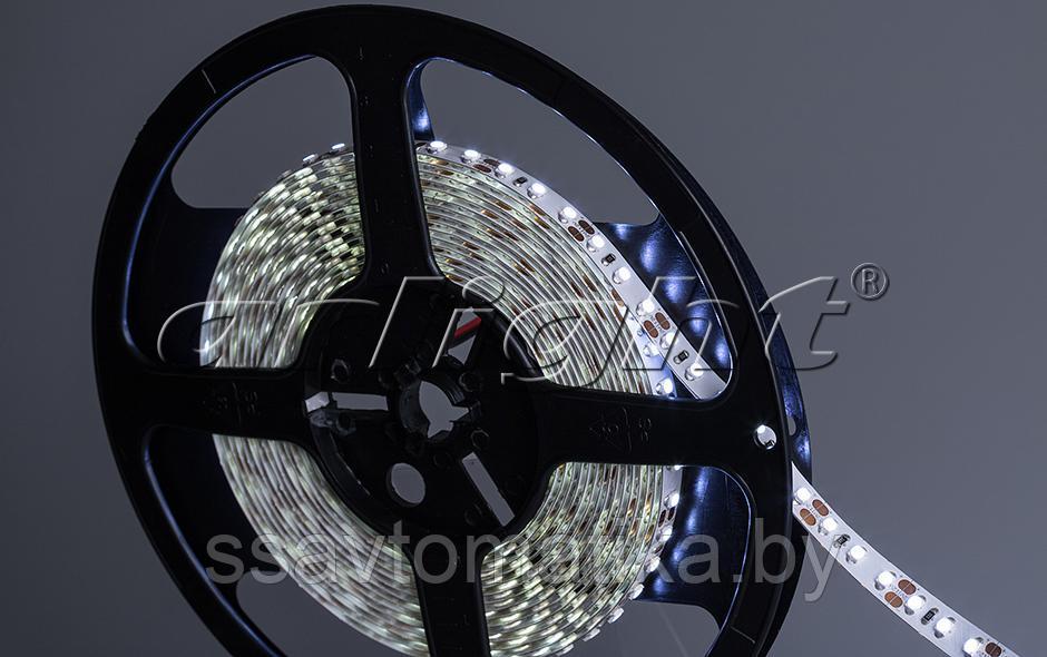 Светодиодные ленты RT 2-5000 12V COOL 2X (3528, 600 LED, LUX) - фото 1 - id-p62250003