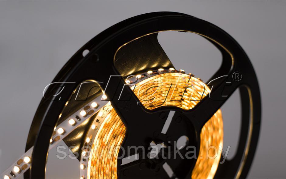 Светодиодные ленты RT 2-5000 12V WARM 2X (3528, 600 LED, LUX) - фото 3 - id-p62197976