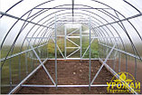 Теплица Урожай ПК 3х8 + сотовый поликарбонат 4мм., фото 2