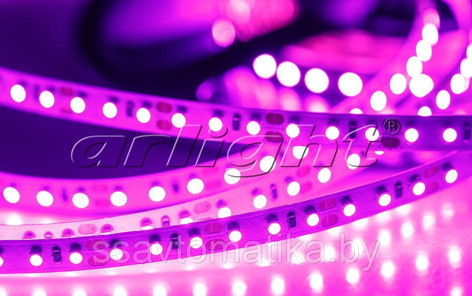 Светодиодные ленты RT 2-5000 12V PINK 2X (3528, 600 LED, LUX) - фото 3 - id-p62239751