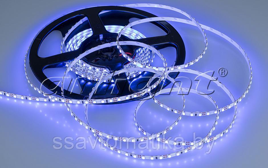 Светодиодные ленты RT 2-5000 12V BLUE-5MM 2X (3528,600 LED,LUX) - фото 2 - id-p62240659