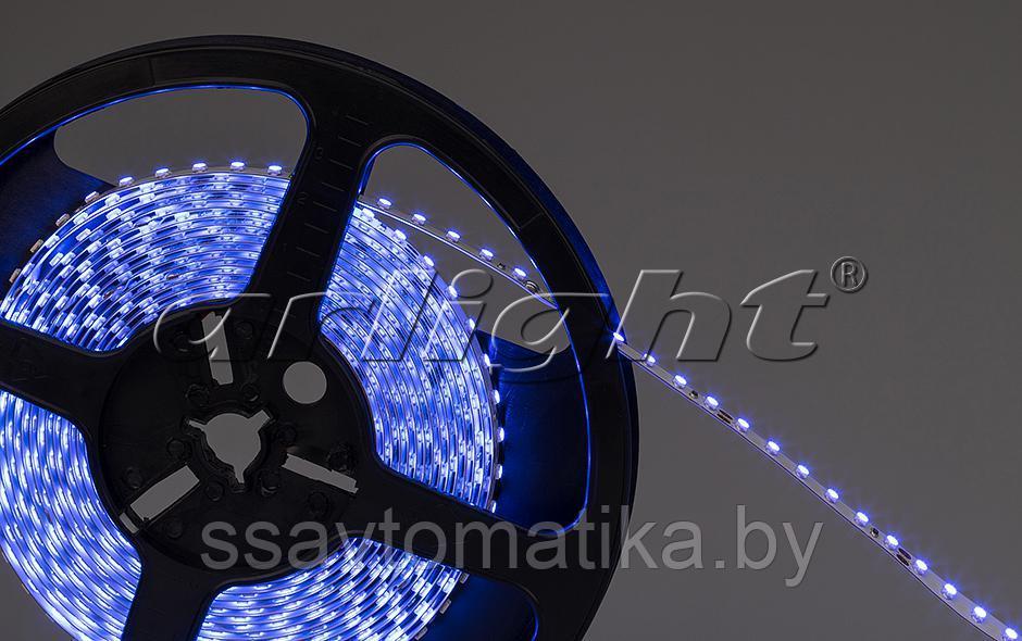 Светодиодные ленты RT 2-5000 24V BLUE 2X (3528, 600 LED, LUX) - фото 2 - id-p62244844