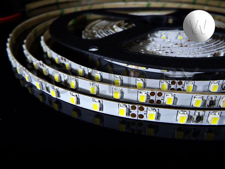 Светодиодная лента SMD 3020 120LED 9,6W 24V IP20(33) 5мм белый холодный