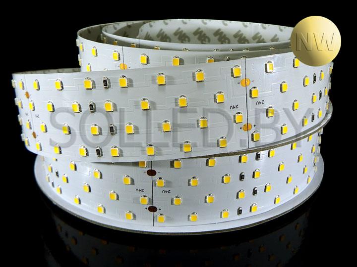 Светодиодная лента SMD 2835 280LED 24V IP33 Day White LUX - фото 1 - id-p62245492