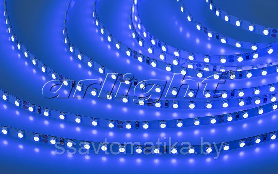 Светодиодные ленты RT 2-5000 24V BLUE-5MM 2X (3528,600 LED,LUX) - фото 1 - id-p62249978