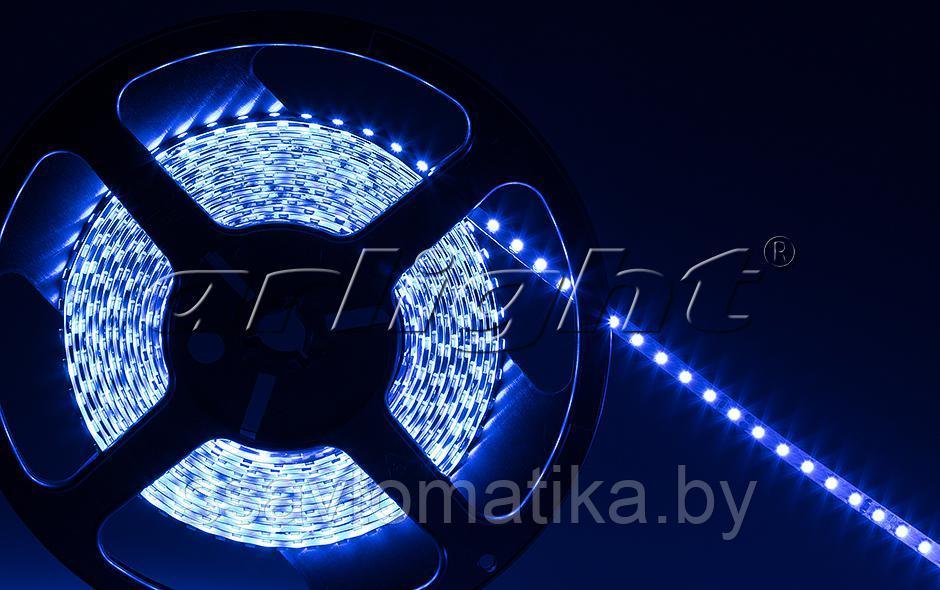 Светодиодные ленты RT 2-5000 24V BLUE-5MM 2X (3528,600 LED,LUX) - фото 2 - id-p62249978