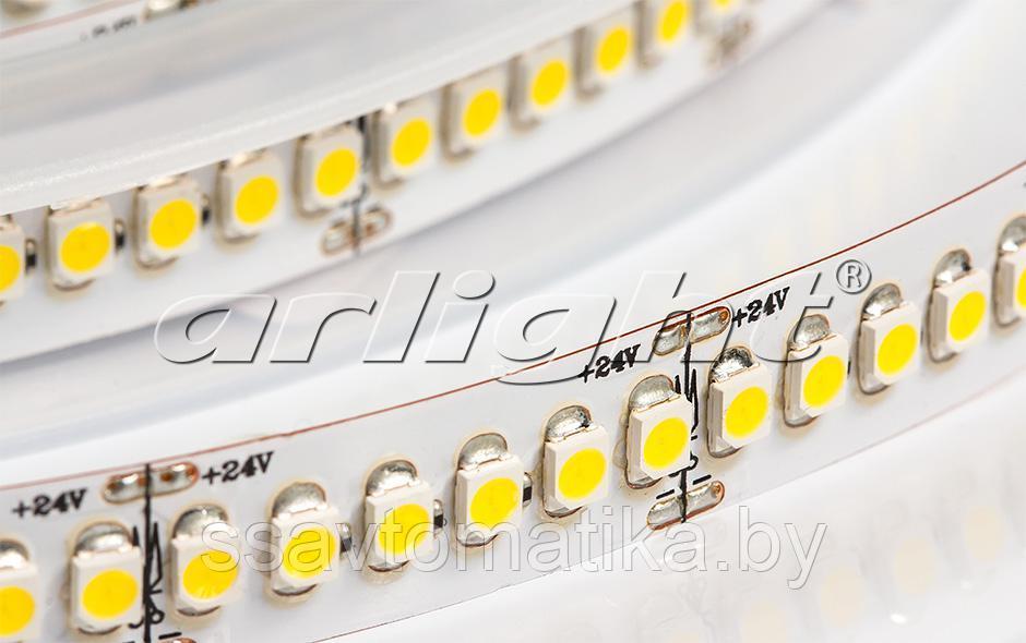 Светодиодные ленты RT6-3528-240 24V WHITE 4X (1200 LED) - фото 1 - id-p62250375