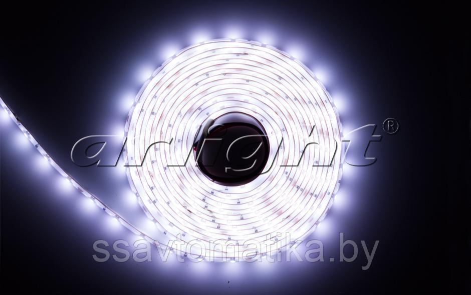 Светодиодные ленты RTW 2-5000SE 12V WHITE (3528, 300 LED, LUX) - фото 1 - id-p62260660