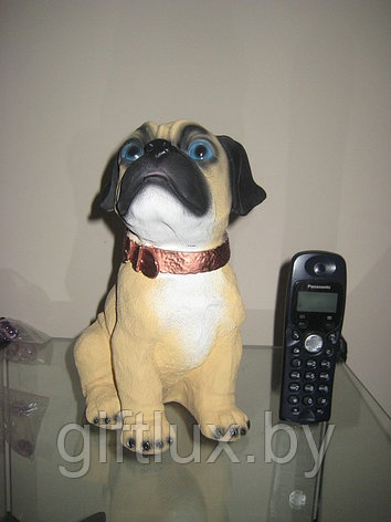 Собака мопс сувенир-копилка,гипс, 16*25 см, фото 2