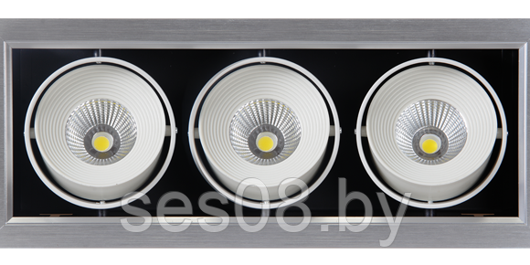 Светильник PSP-S 113 3х9W CARDAN