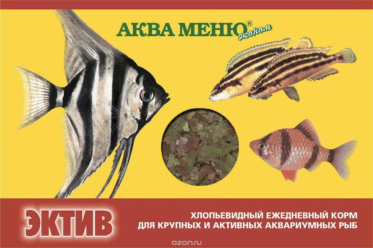 Эктив - хлопьевидный ежедневный корм для крупных и активных рыб 11 гр. - фото 1 - id-p62451221