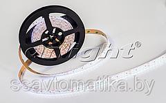 Светодиодные ленты RTW 2-5000SE 24V White 2x2 (3528,1200LED,LUX)