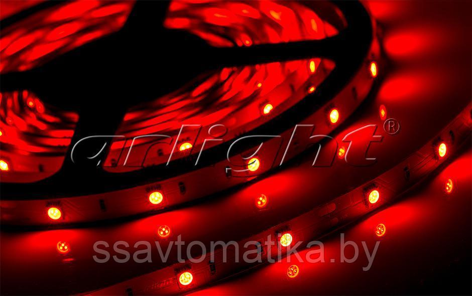 Светодиодные ленты RT 2-5000 12V Red (5060, 150 LED, LUX) - фото 2 - id-p62462559