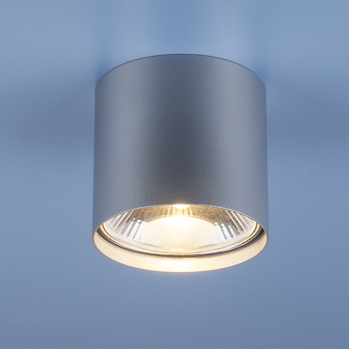 Накладной точечный светильник 6876 SL серебро 