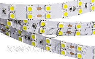Светодиодные ленты RT 2-5000 36V White 2x2 (5060, 600 LED, LUX)