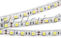 Светодиодные ленты RTW 2-5000SE 12V Cool 2x (5060, 300 LED,LUX)