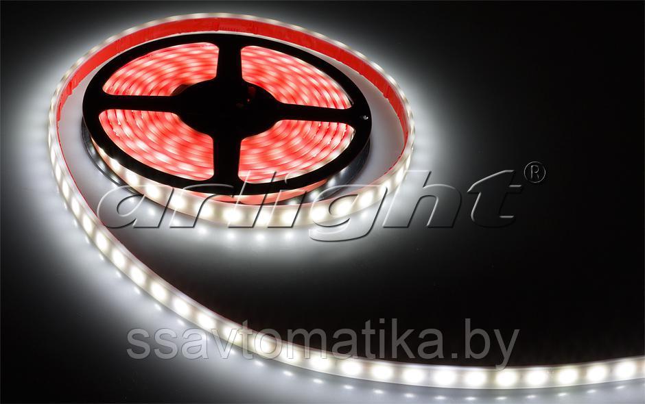 Светодиодные ленты RTW 2-5000PW 12V Warm 2x (5060, 300 LED,LUX) - фото 1 - id-p62493563