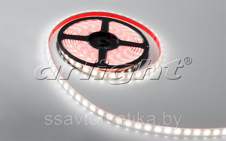 Светодиодные ленты RTW 2-5000PW 12V Warm 2x (5060, 300 LED,LUX) - фото 3 - id-p62493563