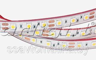 Светодиодные ленты RTW 2-5000P 12V DayWhite 2x (5060,300LED,LUX)