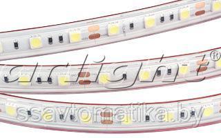 Светодиодные ленты RTW 2-5000PS 12V Warm3000 2x (5060, 300 LED, LUX)