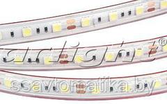 Светодиодные ленты RTW 2-5000PGS 12V Warm 2x (5060, 300 LED)