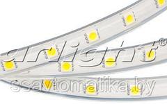 Светодиодные ленты ARL-W5060PG-54-220V White 6000K (540 LED, 10m)