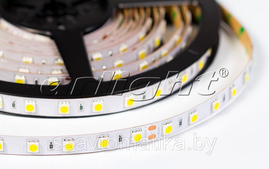 Светодиодные ленты RTW 2-5000NC 24V White 2X (5060,300 LED,LUX)