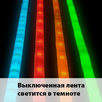 Светодиодная лента со светонакопительным эффектом 12V 30Led 7,2W IP65 розовый