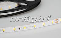 Светодиодные ленты RT 2-5000 24V White (2835, 300 LED, PRO)