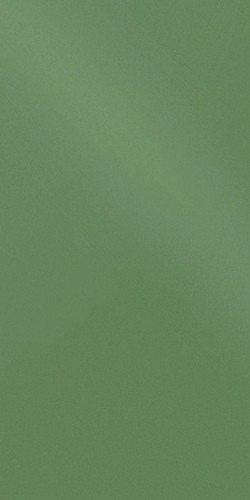 Керамогранит полированный 600х300 Зелёный Керамика Будущего - фото 1 - id-p62565719