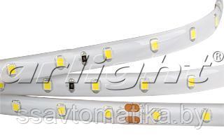 Светодиодные ленты RTW 2-5000SE 24V White (2835, 300 LED, PRO)