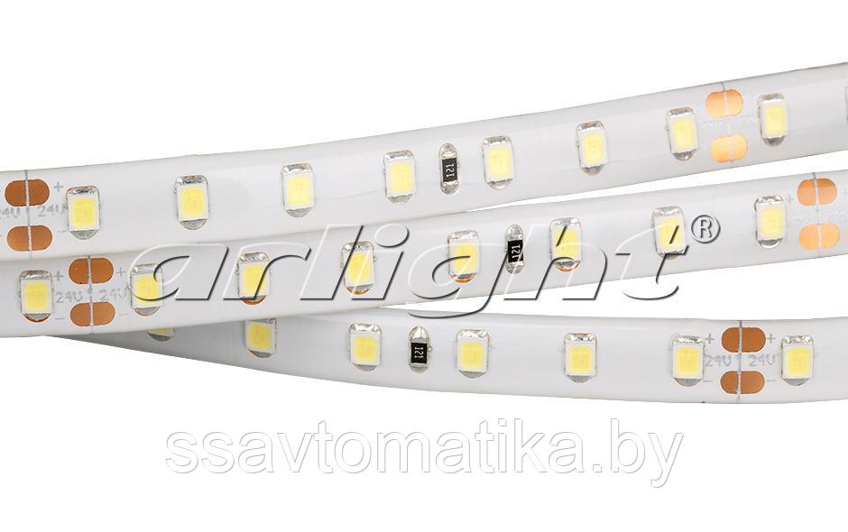 Светодиодные ленты RTW 2-5000SE 24V 1.6X Day (2835, 490 LED, PRO)