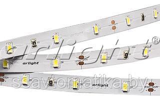 Светодиодные ленты RT 2-5000 12V Cool (5630, 150 LED, LUX) - фото 1 - id-p62577217