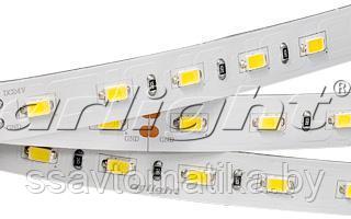 Светодиодные ленты RT 2-5000 24V White 2xH (5630, 300 LED, LUX) - фото 1 - id-p62578428