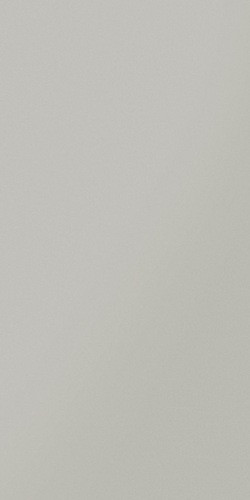 Керамогранит матовый 600х300 Серый Керамика Будущего - фото 1 - id-p62581313