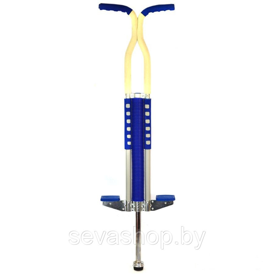 Pogo Dick