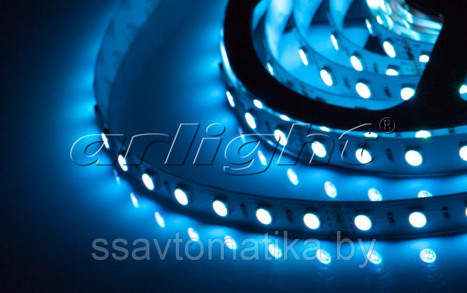 Светодиодные ленты RT 2-5000 24V RGBW-One White 2x (5060, 300 LED) - фото 1 - id-p62592458