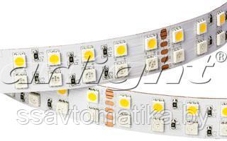 Светодиодные ленты RT 2-5000 24V RGB-White 2x2 (5060, 720 LED) - фото 4 - id-p62592653