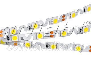 Светодиодные ленты RZ 2-5000 12V Yellow 2X (5060, 240 LED, 180) - фото 1 - id-p62636581