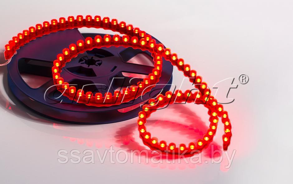 Светодиодные ленты DIP-960S 12V Red (DIP 5mm, 96 LED) - фото 1 - id-p62636662