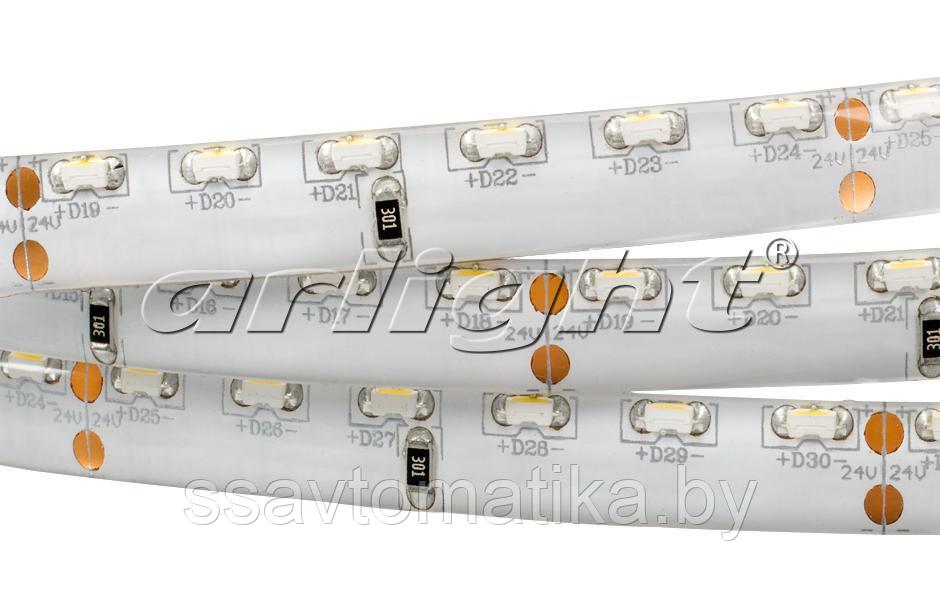 Светодиодные ленты RSW 2-5000SE 24V White 2x (335, 600 LED, LUX) - фото 5 - id-p62636793