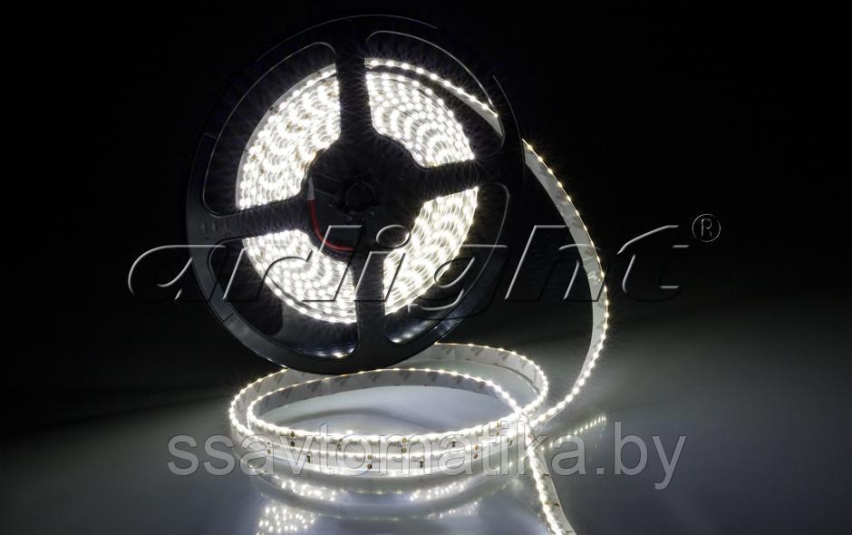 Светодиодные ленты RSW 2-5000SE 24V Day 2x (335, 600 LED, LUX) - фото 1 - id-p62636803