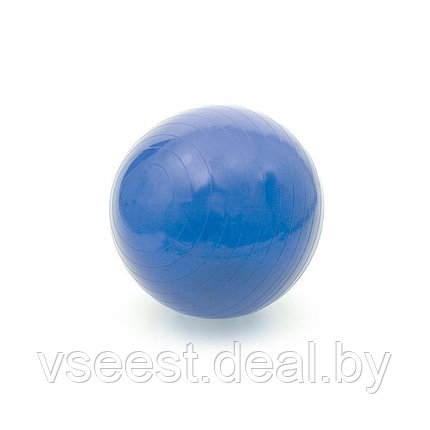 Мяч для реабилитации с системой АВS 55 см, фото 2