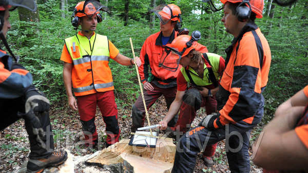 Спецодежда и СИЗ при использовании цепных пил На картинке люди в спецодежде и средствах индивидуальной защиты при использовании цепных пил