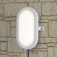 Пылевлагозащищенный светодиодный светильник LTB0102D 22 см 12W IP54