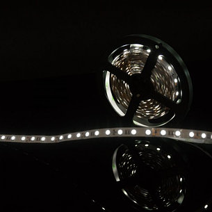 Открытая светодиодная лента белого холодного свечения 5050 300 LED, IP 20, 14,4 Вт/м, 12V
, фото 2