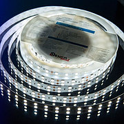 Открытая светодиодная лента холодного белого свечения 5050 120 LED, IP 20, 28,8 Вт/м, 24V Lux DesignLed


