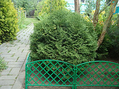 Заборчик декоративный №1 Romanika 2,95м высота 33см (7 эл.) зеленый